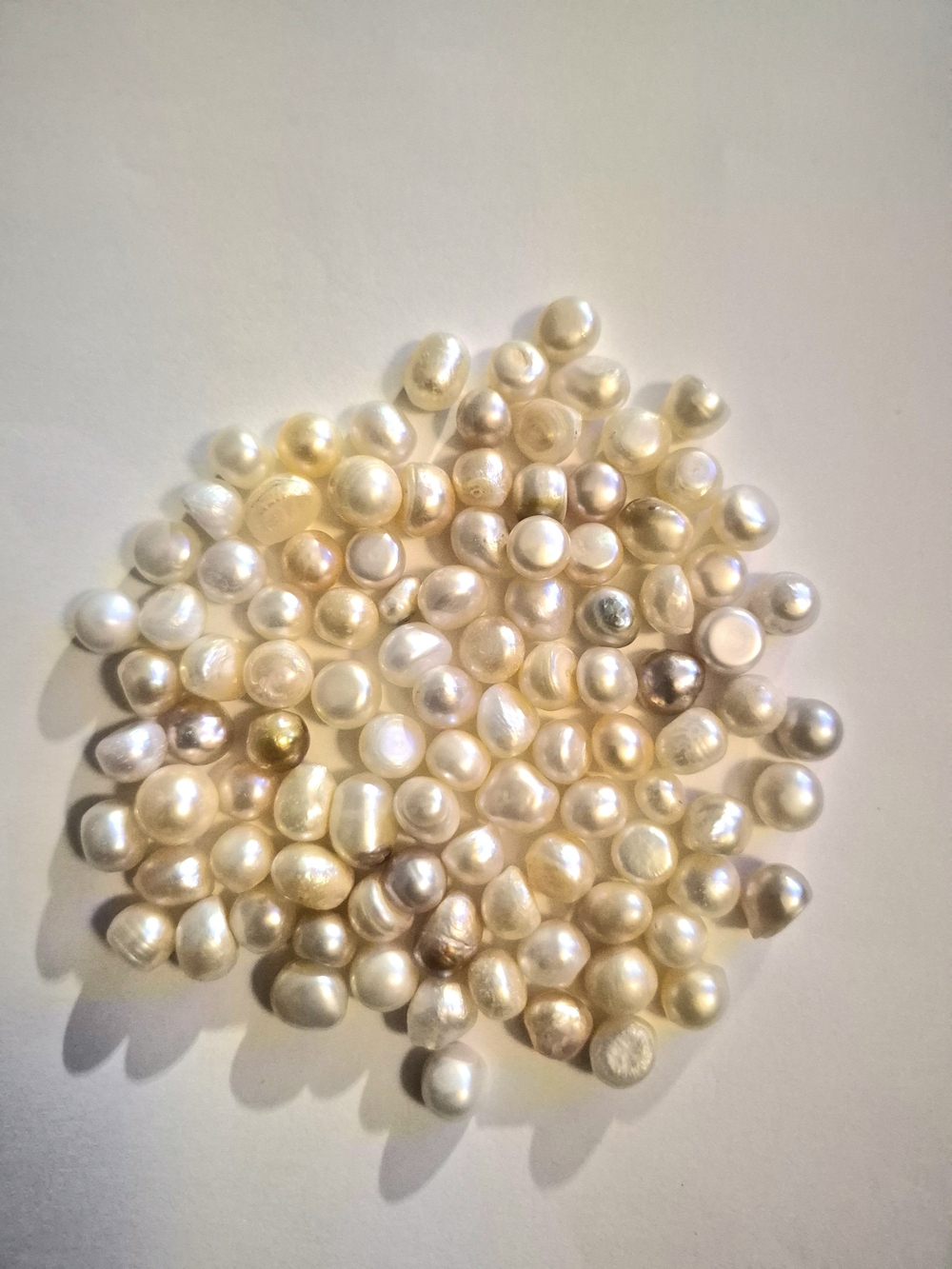 Freshwater Pearl Beads - Champagne White